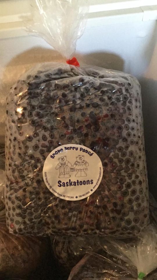 Frozen Saskatoons